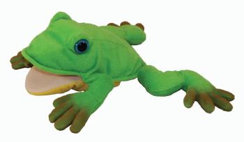 Freddie the Frog Teacher's Puppet (HL-09971509)
