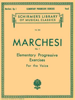 Schirmer Library of Classics Volume 384 (Voice Technique) (HL-50254660)